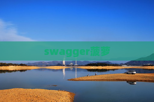 swagger菠萝 swagger菠萝